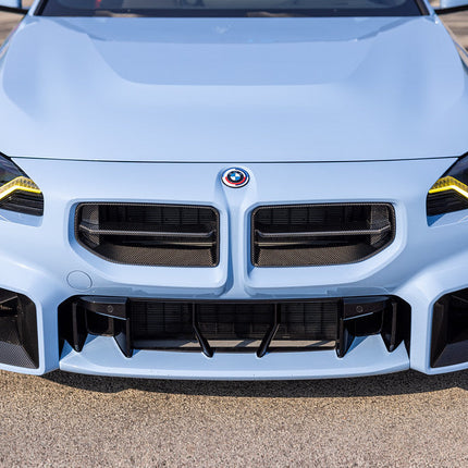Alpha-N G87 M2 Carbon Front Grille, view 2