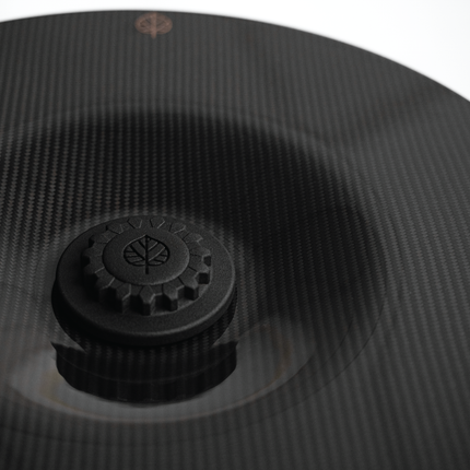 Gold Leaf Aero Discs EVO carbon detail