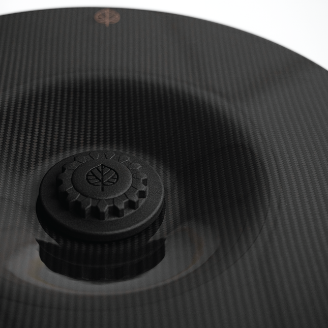 Gold Leaf Aero Discs EVO carbon detail
