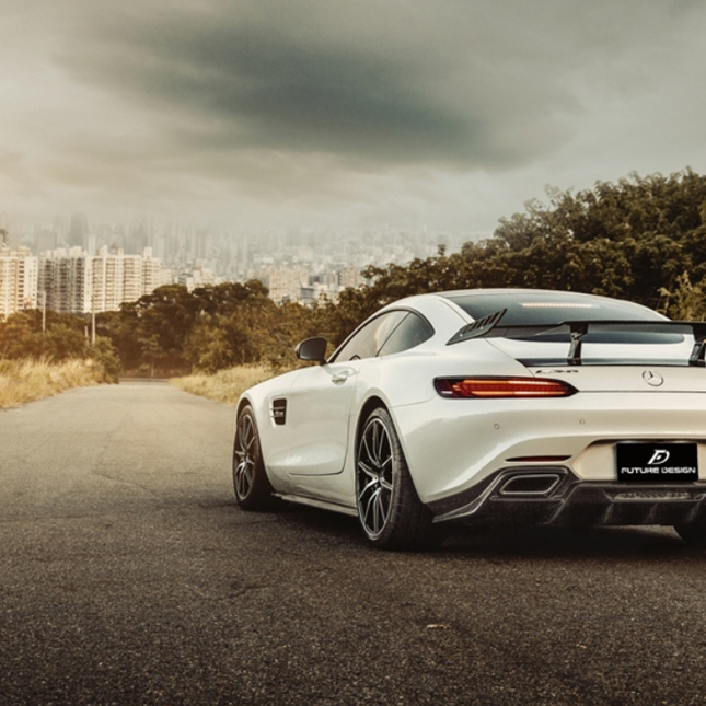 Future Design RT Style Carbon Fiber Rear Diffuser for Mercedes-AMG GT / GT S / GT C C190, image 12