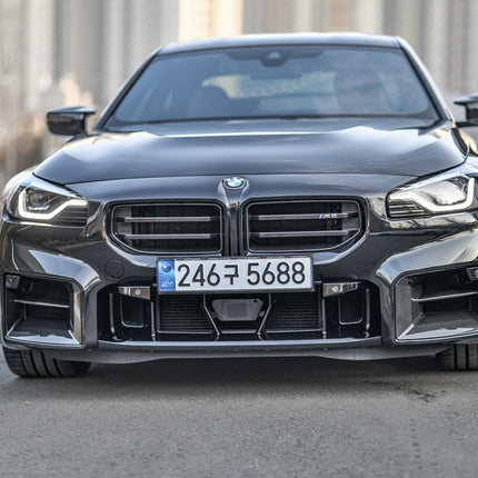 Indiv Carbon Front Grille Set installed