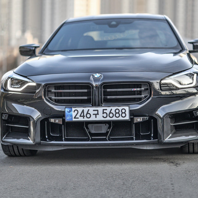Indiv Carbon Front Grille Set installed