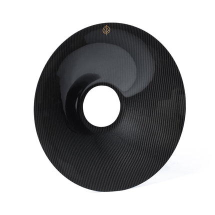 Gold Leaf carbon fiber aero discs detail
