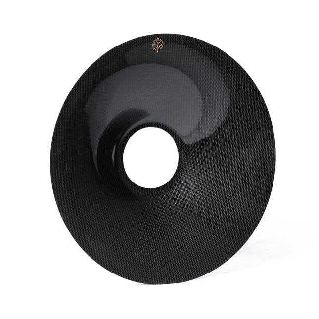 Gold Leaf carbon fiber aero discs detail