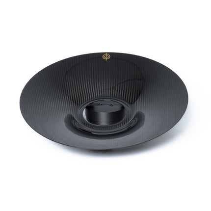 Gold Leaf aero discs GT3 RS 991.2 detail