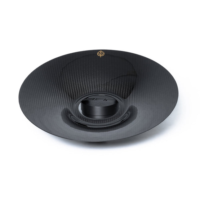 Gold Leaf aero discs GT3 RS 991.2 detail