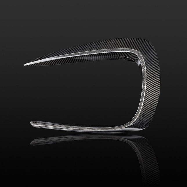 ZACOE Carbon Fiber Body Kit for Mercedes-AMG GT / GT S C190, image 7