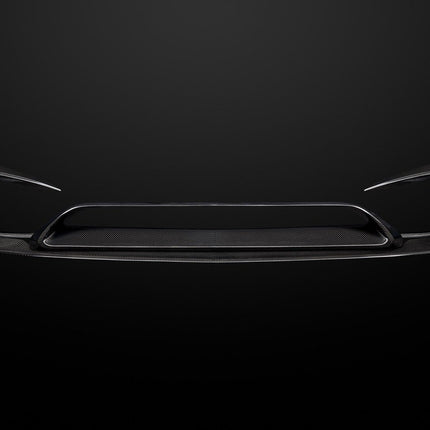 ZACOE Carbon Fiber Body Kit for Mercedes-AMG GT / GT S C190, image 3