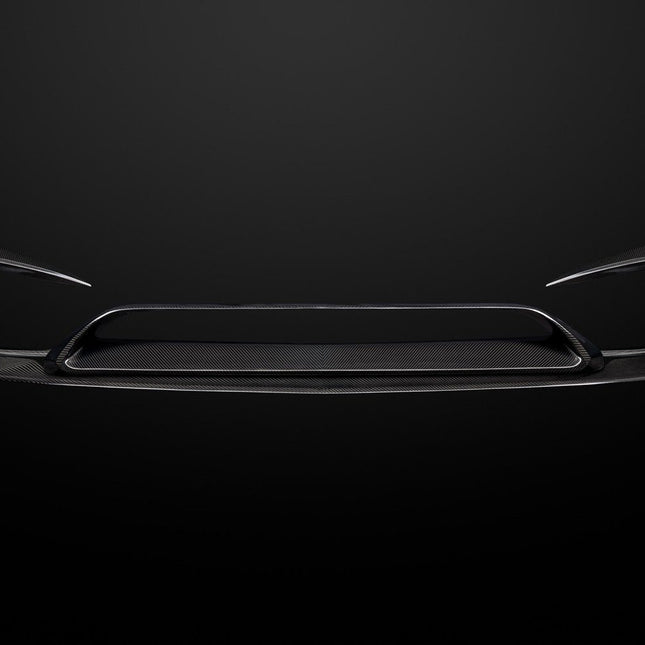 ZACOE Carbon Fiber Body Kit for Mercedes-AMG GT / GT S C190, image 3