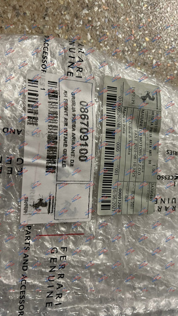 Ferrari 488 Front Bumper Grill Mesh, Left and Right, OEM, Part Number: 86709100, 86709200