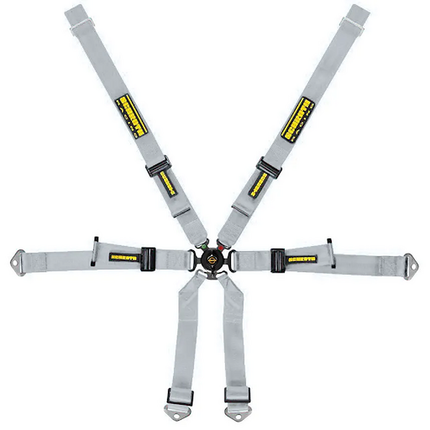 Schroth Profi Racing Harness 2x2 6-Point Silver for Porsche 911 GT3 and GT3 RS (991, 992) (94660-9)