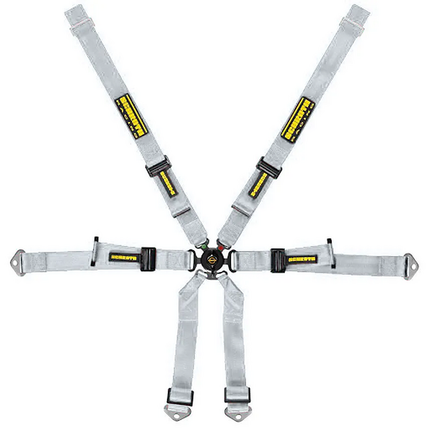 Schroth Profi Racing Harness 2x2 6-Point Silver for Porsche 718 Cayman and Boxster (981, 982) (94680-9)