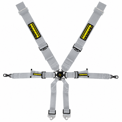 Schroth Profi Racing Harness 3x2 6-Point Silver for Porsche 911 (996, 997) (94690-9)