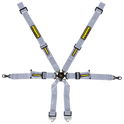 Schroth Profi Racing Harness 2x2 6-Point Silver for Porsche 911 (996, 997) (94700-9)