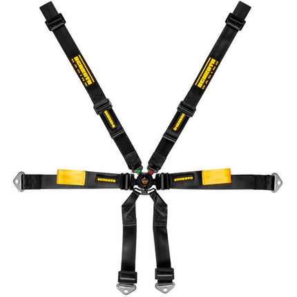 Schroth Enduro Racing Harness 2x2 6-Point Black for Porsche 911 (996, 997) (94720-0)